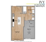 ivy (1).png