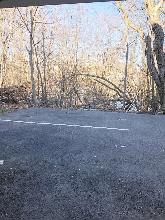 Photo - Available December 1st! 1 BED 1 BATH in pr... Unidad 1R