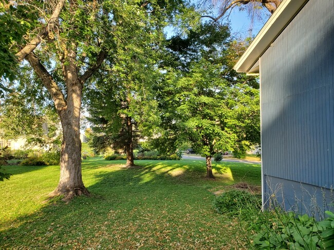 Photo - 2117 Fern Ln