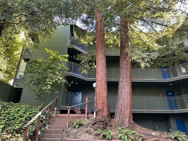 Photo - Bright Furnished 1BD/1BA Near UC Berkeley – Quiet, Updated & Move-In Ready Unit #306