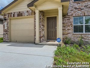 15347 Shortwing