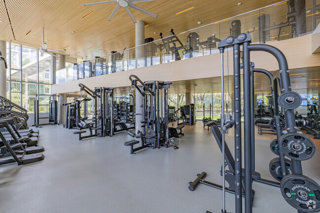Gimnasio - 222 North City