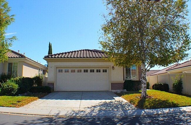 Building Photo - Resort Style Living In Lovely Solera Oaks.
