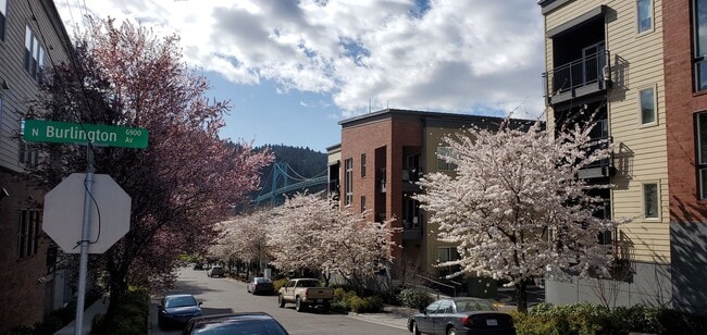 Photo - Cathedral Park