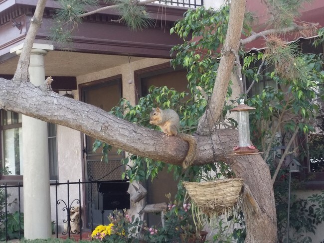 Vecinos amigables - 3524 E 2nd St