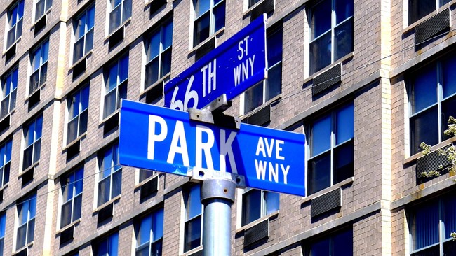 The Willows at Park Pointe - The Willows at Park Pointe Apartments