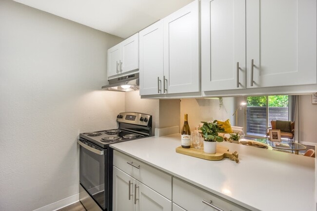 Platinum Kitchen - Maplewood Park Rental