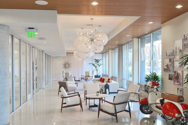 Photo - Stella - New