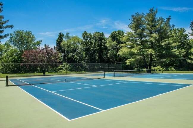 Stirling-Court-Tennis-Courts-2-1500x1000