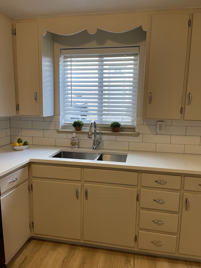 Updated sink, faucet and backsplash - 1919 8th Ave Apartments Unit C