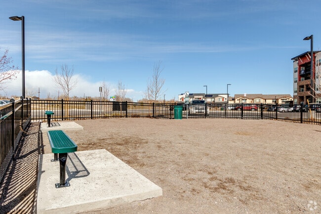 Dog Park