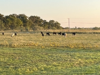 Photo - 5264 SW County Rd