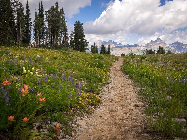 Photo - Modern, Spacious 3-Bedroom Townhome in the...