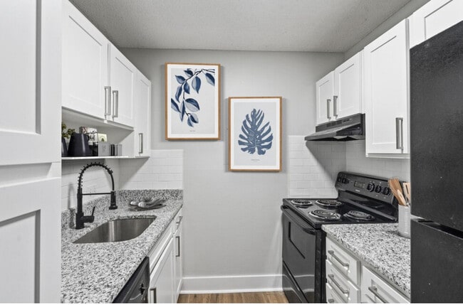 1 bedroom kitchen