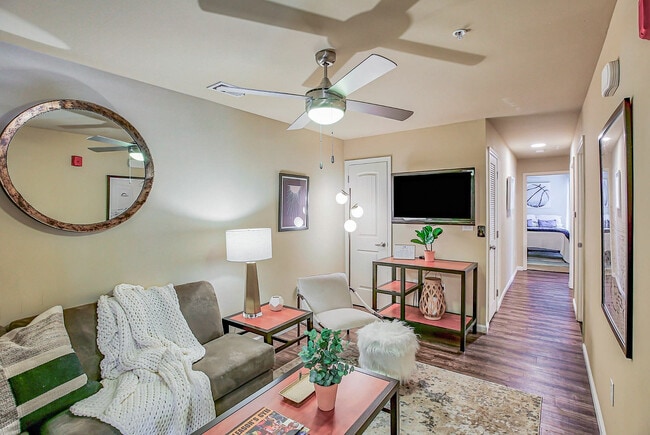 Interior Photo - The Stretch Rental