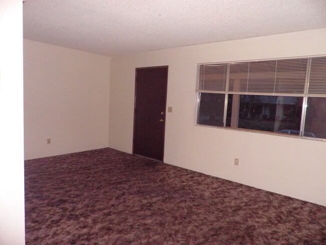 Photo - Nice apartment in convenient location