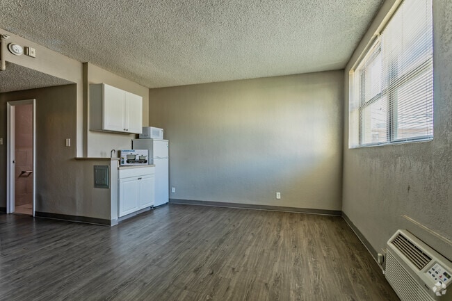 Deluxe Studio - 380 SF - Kitchen/ Living/Sleeping Area
