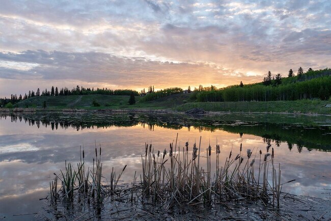 Photo - 31 Cranfield Manor SE Unit ID1269721P