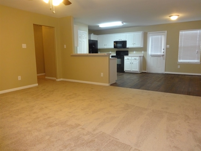 Photo - 4530 Nueces River Loop