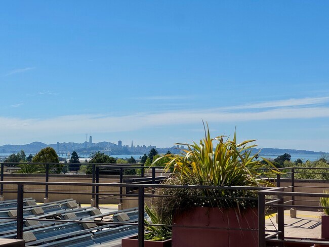 Photo - 2029 Channing Way Unidad 4D