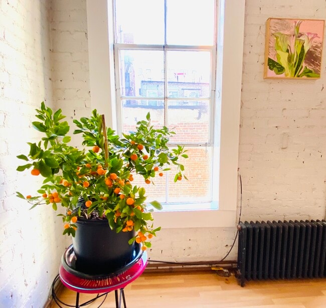 Photo - 181 Mott St Unit #4