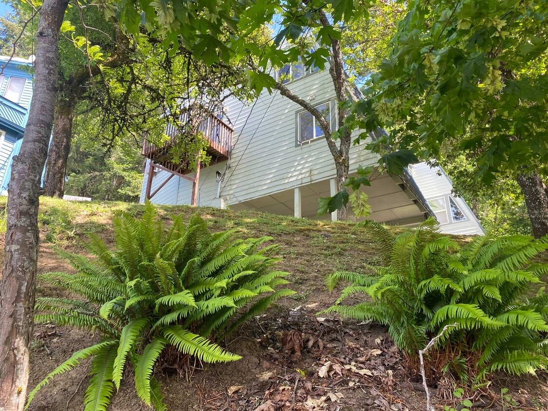 3 bedroom 1.5 Bath Tandem Home! - 3 bedroom 1.5 Bath Tandem Home!