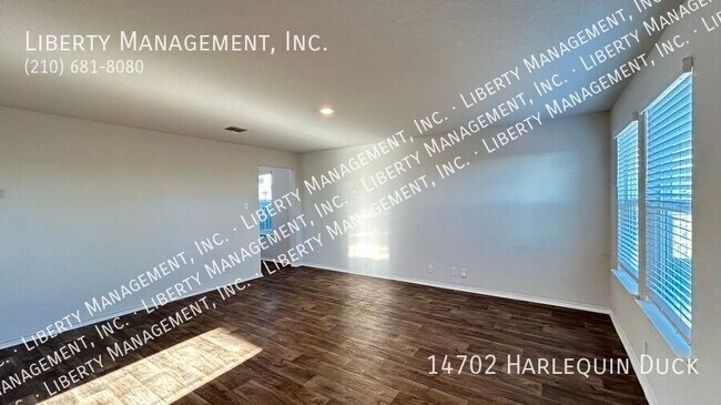 Photo - 14702 Harlequin Duck