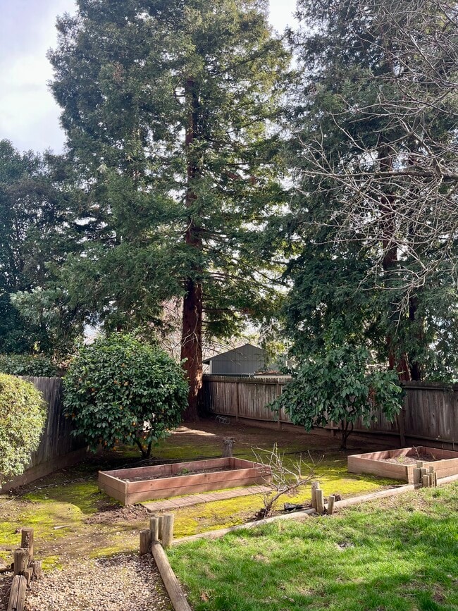 Photo - 5 Sun Circle Ct