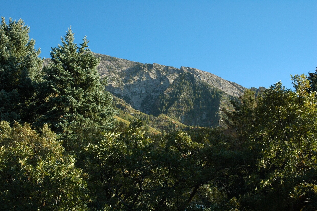 View from patio - 4222 S Helaman Cir (Salt Lake City, UT)