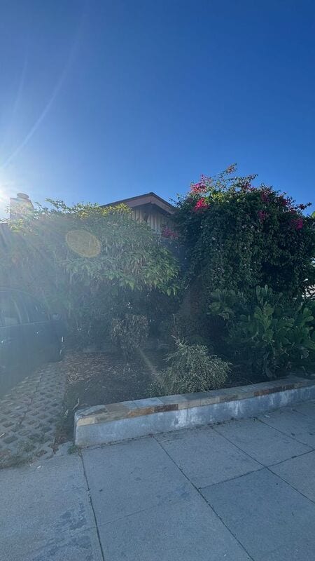 Building Photo - 1330 Westerly Terrace Rental