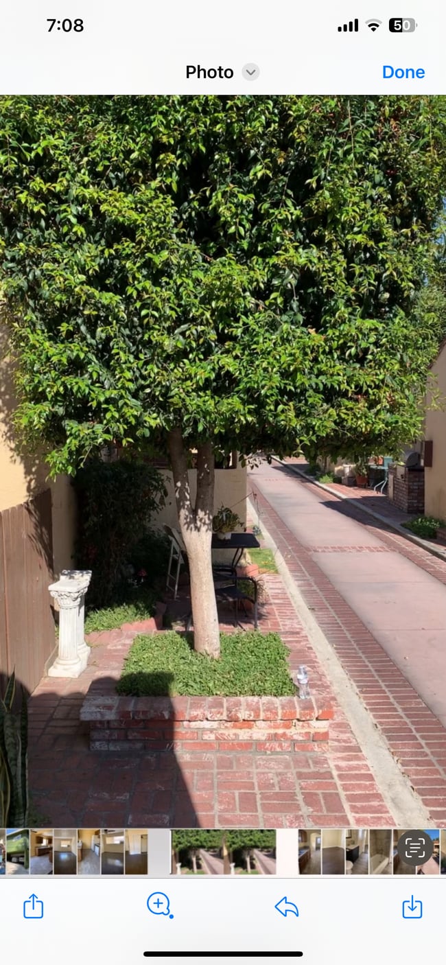 Photo - 5031 Bakman Ave