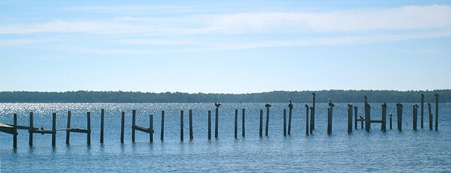 Bay Front Apartments