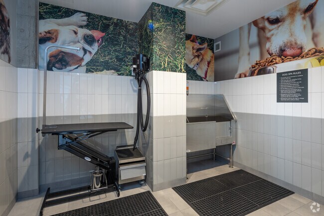 Dog Spa