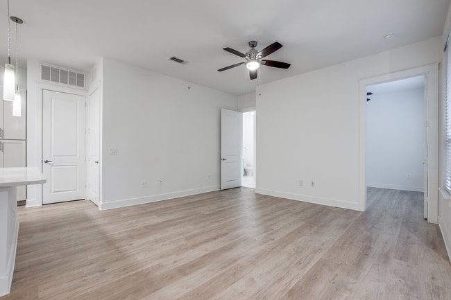 Photo - Teak at the Branch