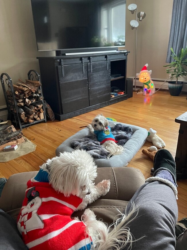 Photo - 905 Boswell Hill Rd