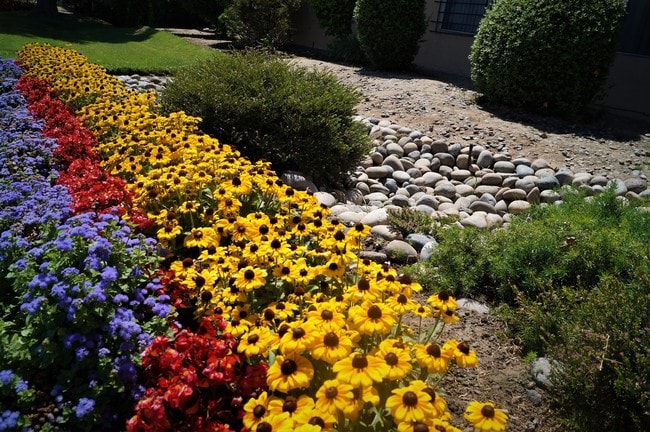 Photo - Cedar Woods Apartments