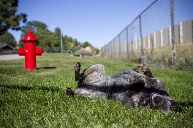 Photo - Summitt Ridge