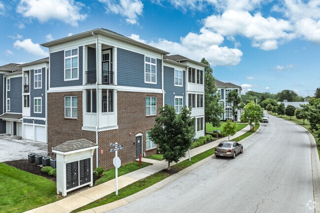 Primary - LINDEN SQUARE