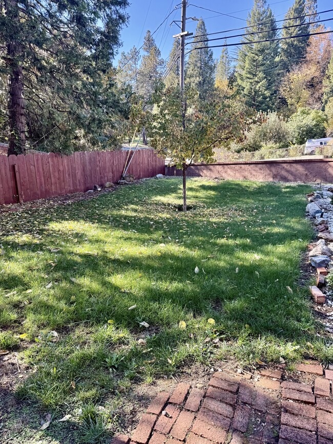 Photo - 319 Chapel St