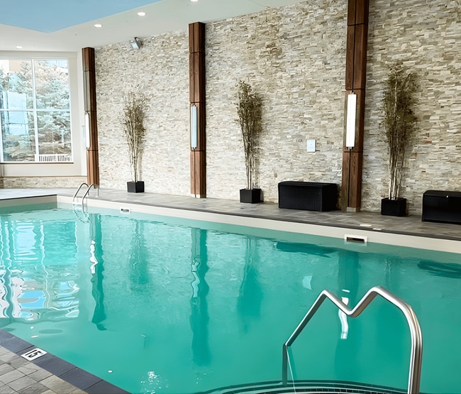 Photo - William's Court C