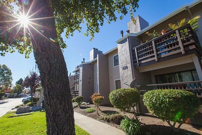 Photo - Laurel Grove