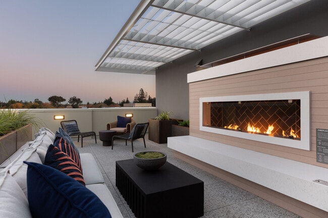 Photo - The Palomino