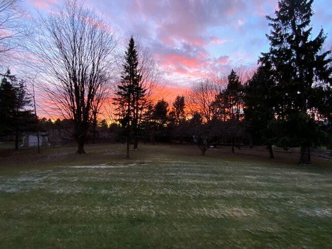 Patio trasero - 5 Graffin Dr