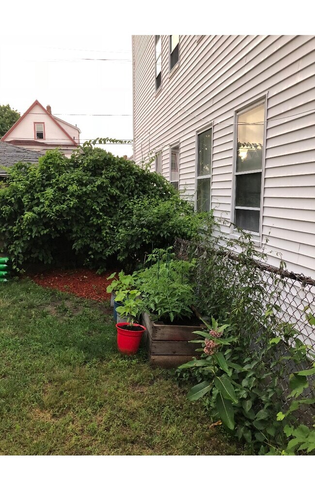 Backyard - 78 Winchester St Unit 78 2