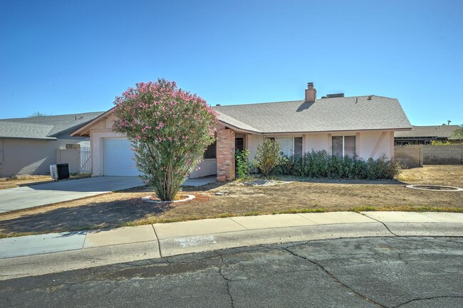 AVAILABLE NOW - REMODELED IN TEMPE!!! - AVAILABLE NOW - REMODELED IN TEMPE!!! House