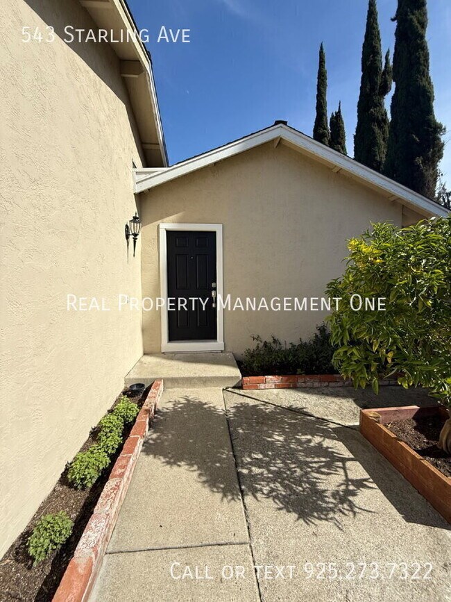 Photo - 543 Starling Ave