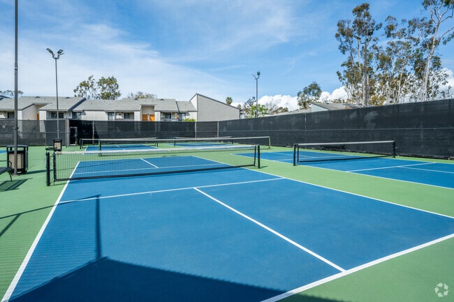 Pickle Ball Courts