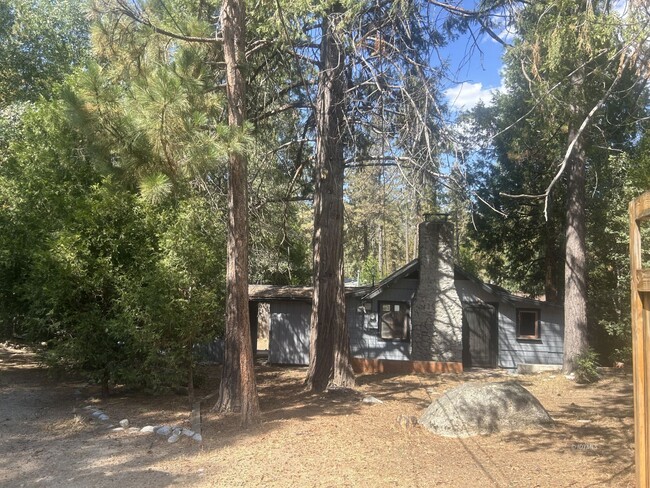 1Bd/1Ba Cabin on .31 Acres for Rent Near Town - 1Bd/1Ba Cabin on .31 Acres for Rent Near Town House