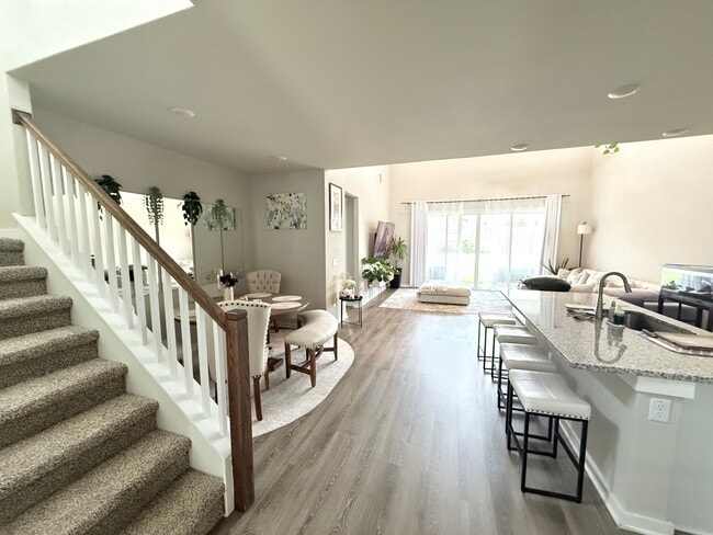 Photo - 2024 Wilsons Warbler Dr