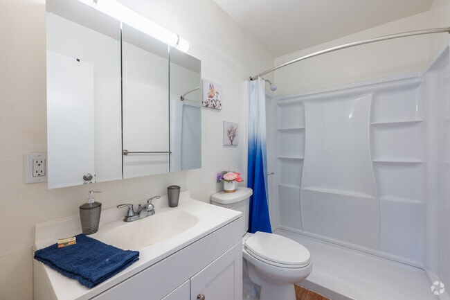 2BR, 1BA - 950SF - Bathroom
